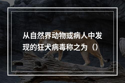 从自然界动物或病人中发现的狂犬病毒称之为（）