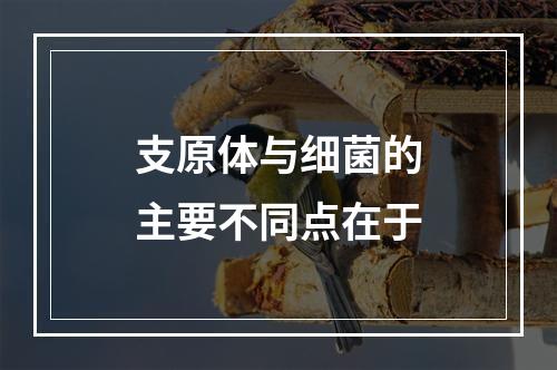 支原体与细菌的主要不同点在于