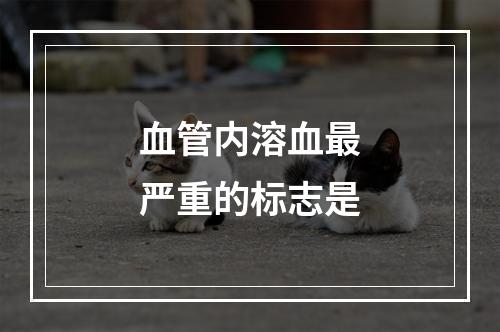 血管内溶血最严重的标志是