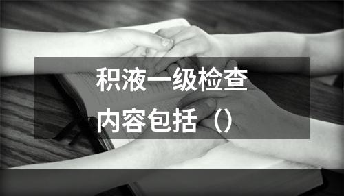 积液一级检查内容包括（）