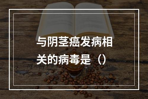 与阴茎癌发病相关的病毒是（）