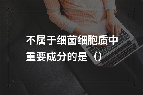 不属于细菌细胞质中重要成分的是（）