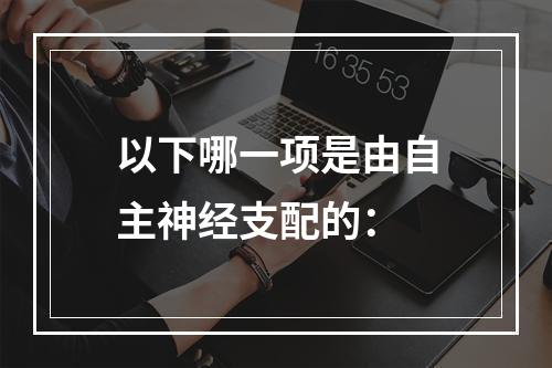 以下哪一项是由自主神经支配的：