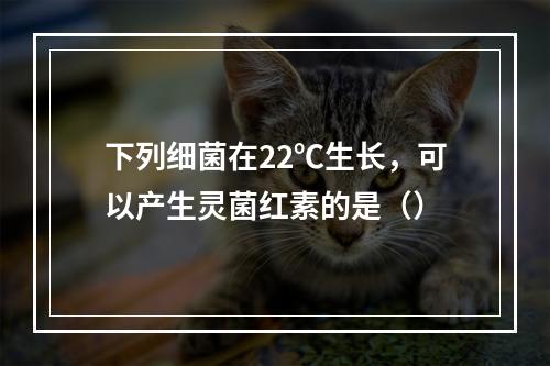 下列细菌在22℃生长，可以产生灵菌红素的是（）