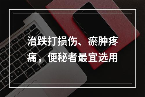 治跌打损伤、瘀肿疼痛，便秘者最宜选用