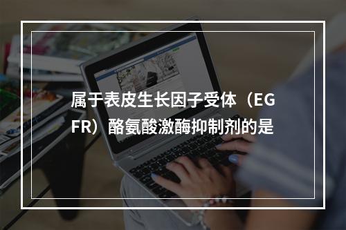 属于表皮生长因子受体（EGFR）酪氨酸激酶抑制剂的是