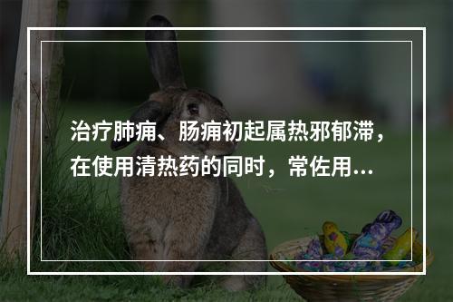 治疗肺痈、肠痈初起属热邪郁滞，在使用清热药的同时，常佐用的药