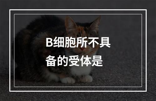 B细胞所不具备的受体是