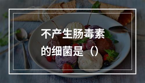 不产生肠毒素的细菌是（）