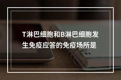 T淋巴细胞和B淋巴细胞发生免疫应答的免疫场所是