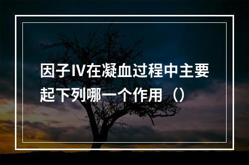 因子Ⅳ在凝血过程中主要起下列哪一个作用（）