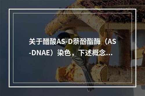 关于醋酸AS-D萘酚酯酶（AS-DNAE）染色，下述概念不正