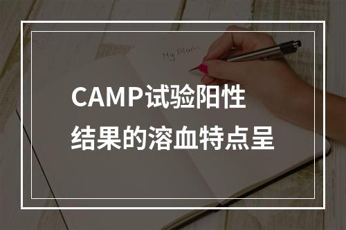 CAMP试验阳性结果的溶血特点呈