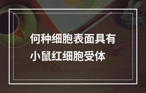 何种细胞表面具有小鼠红细胞受体