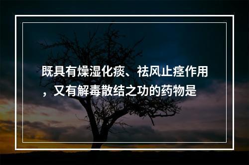 既具有燥湿化痰、祛风止痉作用，又有解毒散结之功的药物是