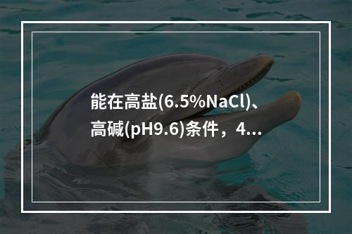 能在高盐(6.5%NaCl)、高碱(pH9.6)条件，40%