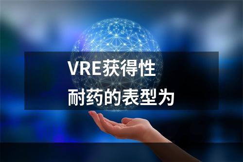 VRE获得性耐药的表型为