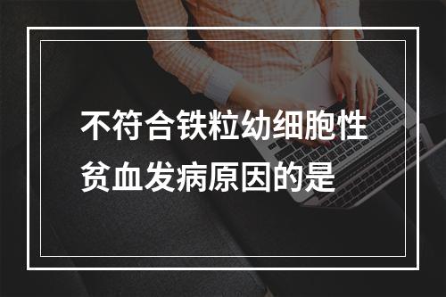 不符合铁粒幼细胞性贫血发病原因的是