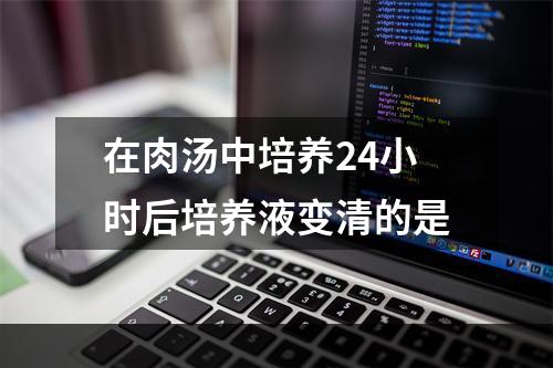 在肉汤中培养24小时后培养液变清的是