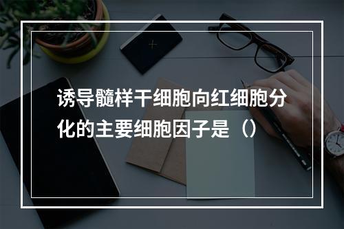 诱导髓样干细胞向红细胞分化的主要细胞因子是（）