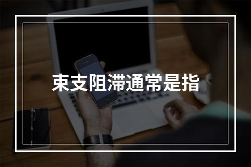 束支阻滞通常是指