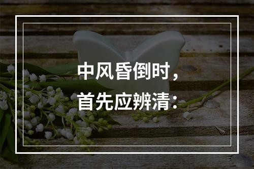 中风昏倒时，首先应辨清：