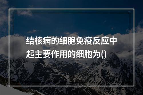 结核病的细胞免疫反应中起主要作用的细胞为()