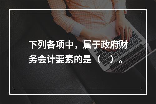 下列各项中，属于政府财务会计要素的是（　）。