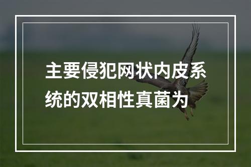 主要侵犯网状内皮系统的双相性真菌为