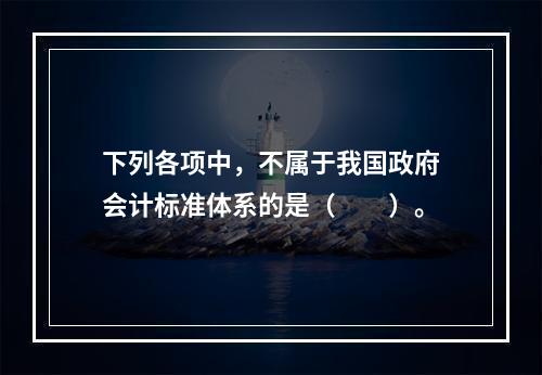 下列各项中，不属于我国政府会计标准体系的是（　　）。