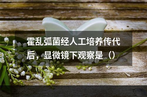 霍乱弧菌经人工培养传代后，显微镜下观察是（）