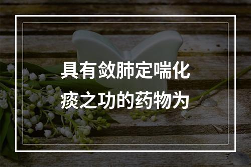 具有敛肺定喘化痰之功的药物为