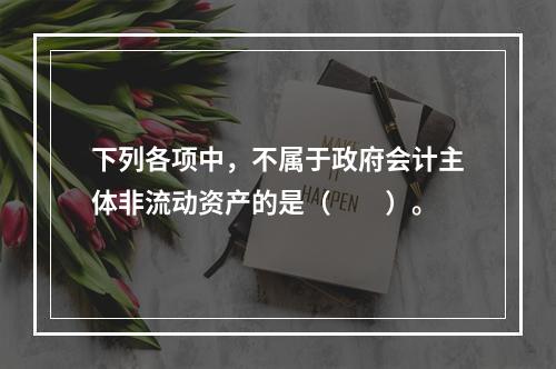 下列各项中，不属于政府会计主体非流动资产的是（　　）。