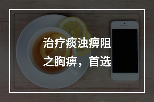 治疗痰浊痹阻之胸痹，首选