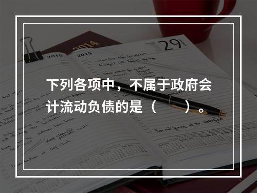 下列各项中，不属于政府会计流动负债的是（　　）。