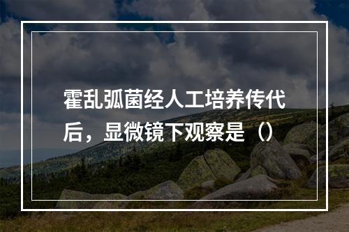 霍乱弧菌经人工培养传代后，显微镜下观察是（）