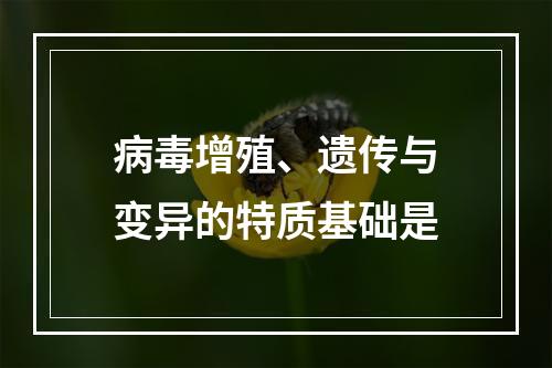 病毒增殖、遗传与变异的特质基础是