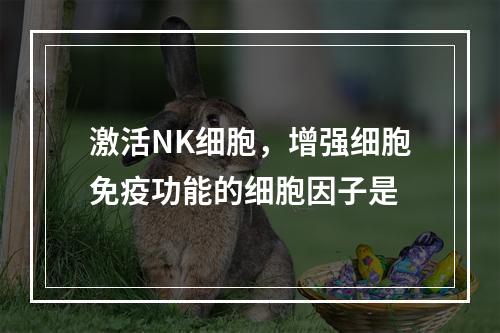 激活NK细胞，增强细胞免疫功能的细胞因子是