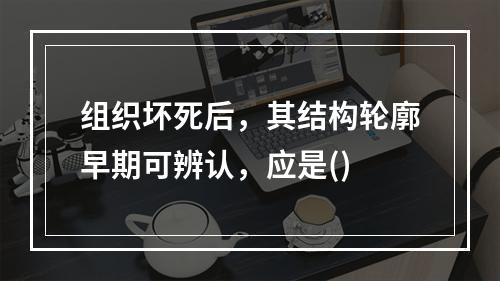 组织坏死后，其结构轮廓早期可辨认，应是()