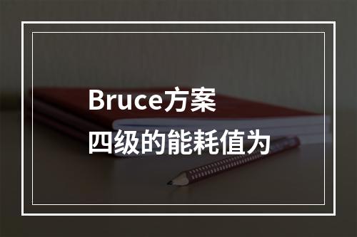 Bruce方案四级的能耗值为