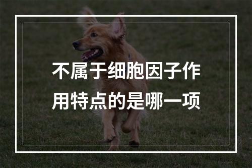 不属于细胞因子作用特点的是哪一项