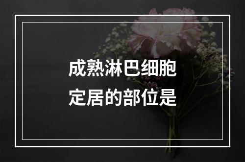 成熟淋巴细胞定居的部位是