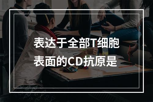 表达于全部T细胞表面的CD抗原是