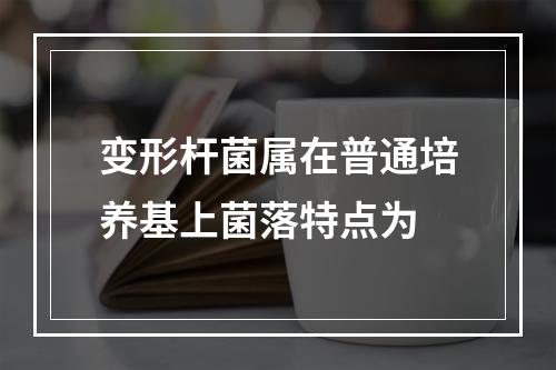 变形杆菌属在普通培养基上菌落特点为