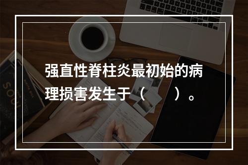 强直性脊柱炎最初始的病理损害发生于（　　）。