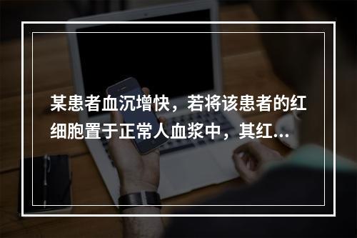 某患者血沉增快，若将该患者的红细胞置于正常人血浆中，其红细胞