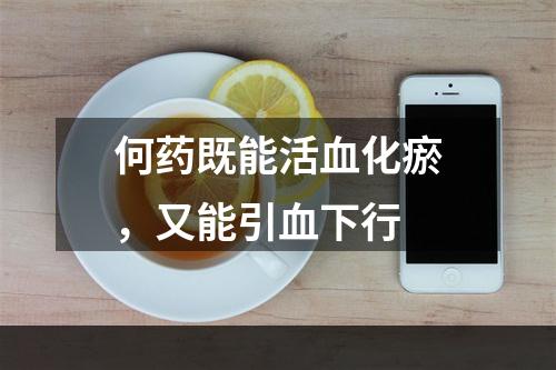 何药既能活血化瘀，又能引血下行