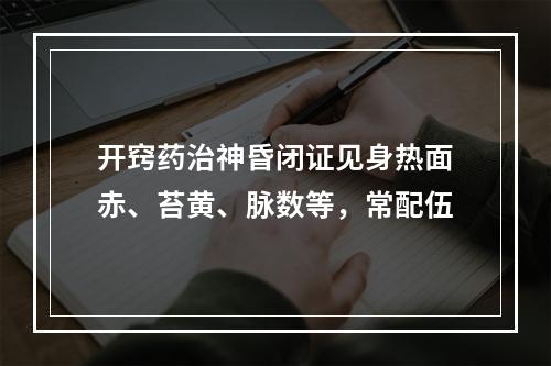 开窍药治神昏闭证见身热面赤、苔黄、脉数等，常配伍