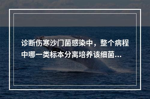 诊断伤寒沙门菌感染中，整个病程中哪一类标本分离培养该细菌的阳