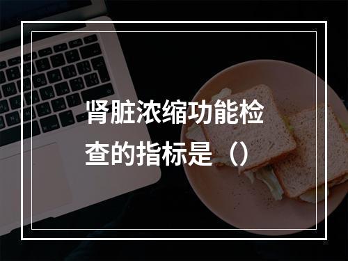 肾脏浓缩功能检查的指标是（）